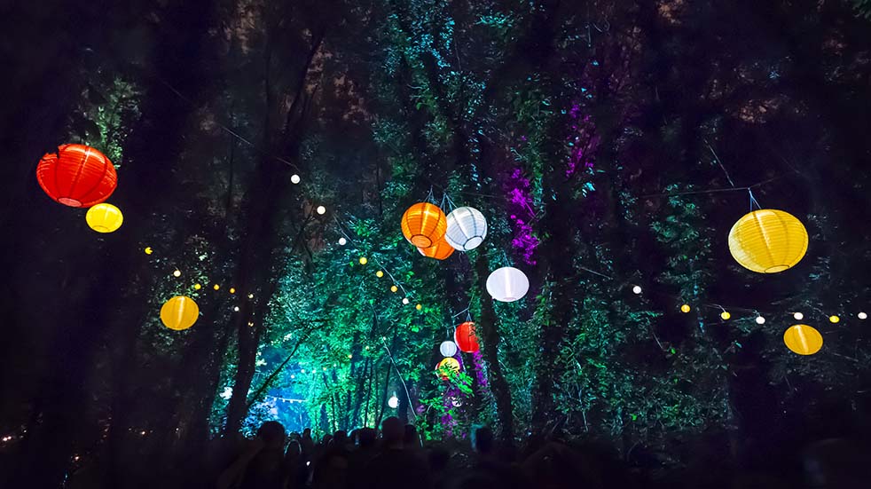 10 easy ways to boost your mood this autumn forest illuminations
